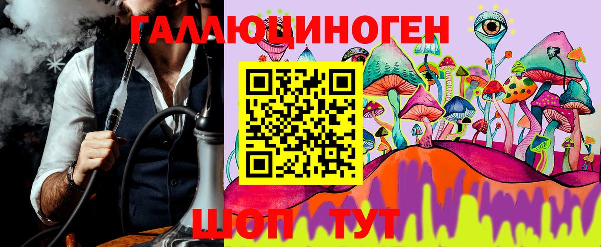 где купить наркоту  Вход с VPN  Ирбит  Галлюциногенные грибы прущие грибы 